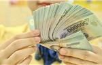 Mức lương chuyên gia tư vấn làm cơ sở cho việc xác định giá gói thầu