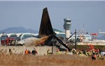 Condolence Letter Regarding the Jeju Air Plane Crash